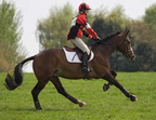 Ardingly Horses 65-18-04-2009