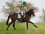 Ardingly Horses 66-18-04-2009