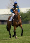 Ardingly Horses 69-18-04-2009