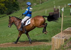 Ardingly Horses 70-18-04-2009