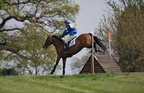 Ardingly Horses 71-18-04-2009