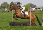 Ardingly Horses 72-18-04-2009