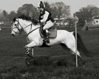 Ardingly Horses 74-18-04-2009