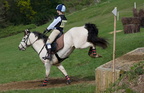 Ardingly Horses 75-18-04-2009