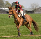 Ardingly Horses 77-18-04-2009