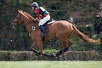 Ardingly Horses 80-18-04-2009