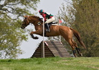 Ardingly Horses 81-18-04-2009