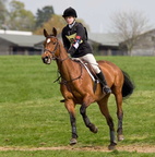 Ardingly Horses 82-18-04-2009