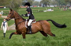 Ardingly Horses 83-18-04-2009