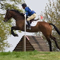 Ardingly Horses 88-18-04-2009