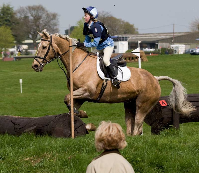 Ardingly_Horses_92-18-04-2009.jpg