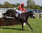 Plumpton 13-5-12 L2C0951