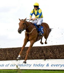 Plumpton Races 31 21-09-2008