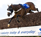 Plumpton Races 33 21-09-2008