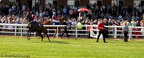 Plumpton Races 37 21-09-2008