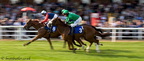 Plumpton Races 38 21-09-2008