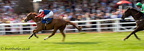 Plumpton Races 39 21-09-2008