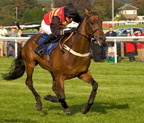 Plumpton Races 86 21-09-2008